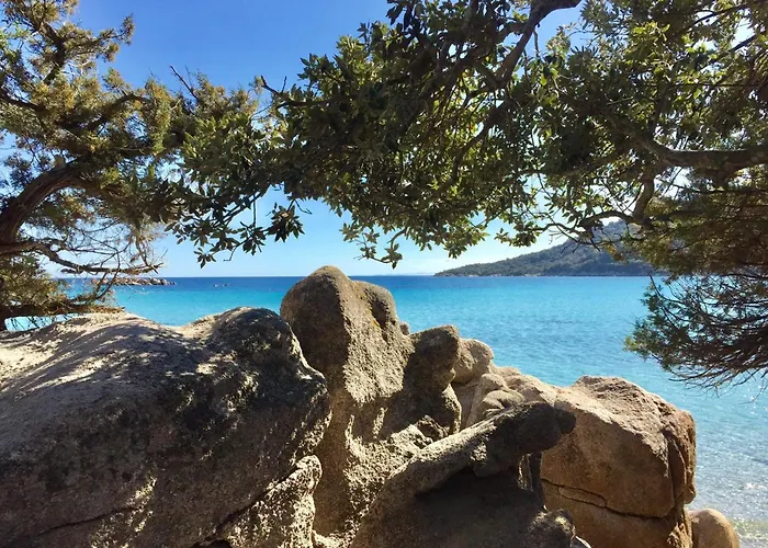 Casa de Férias Charming Duplex In Vecchio Porto-Vecchio (Corsica)